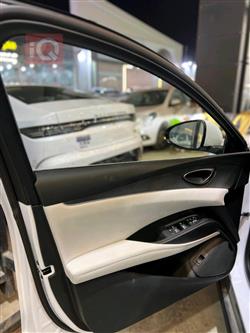 بي واي دي سيل 06 DM-i